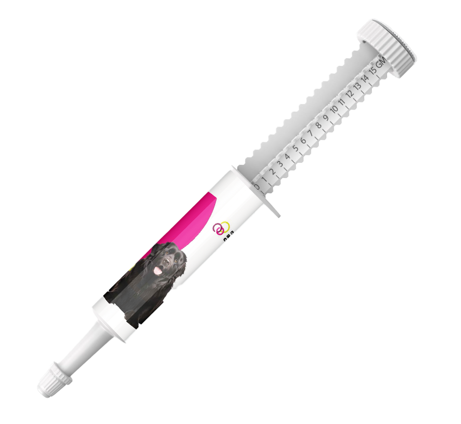 DoggyWell Intestine 30 ml paste injector for dogs
