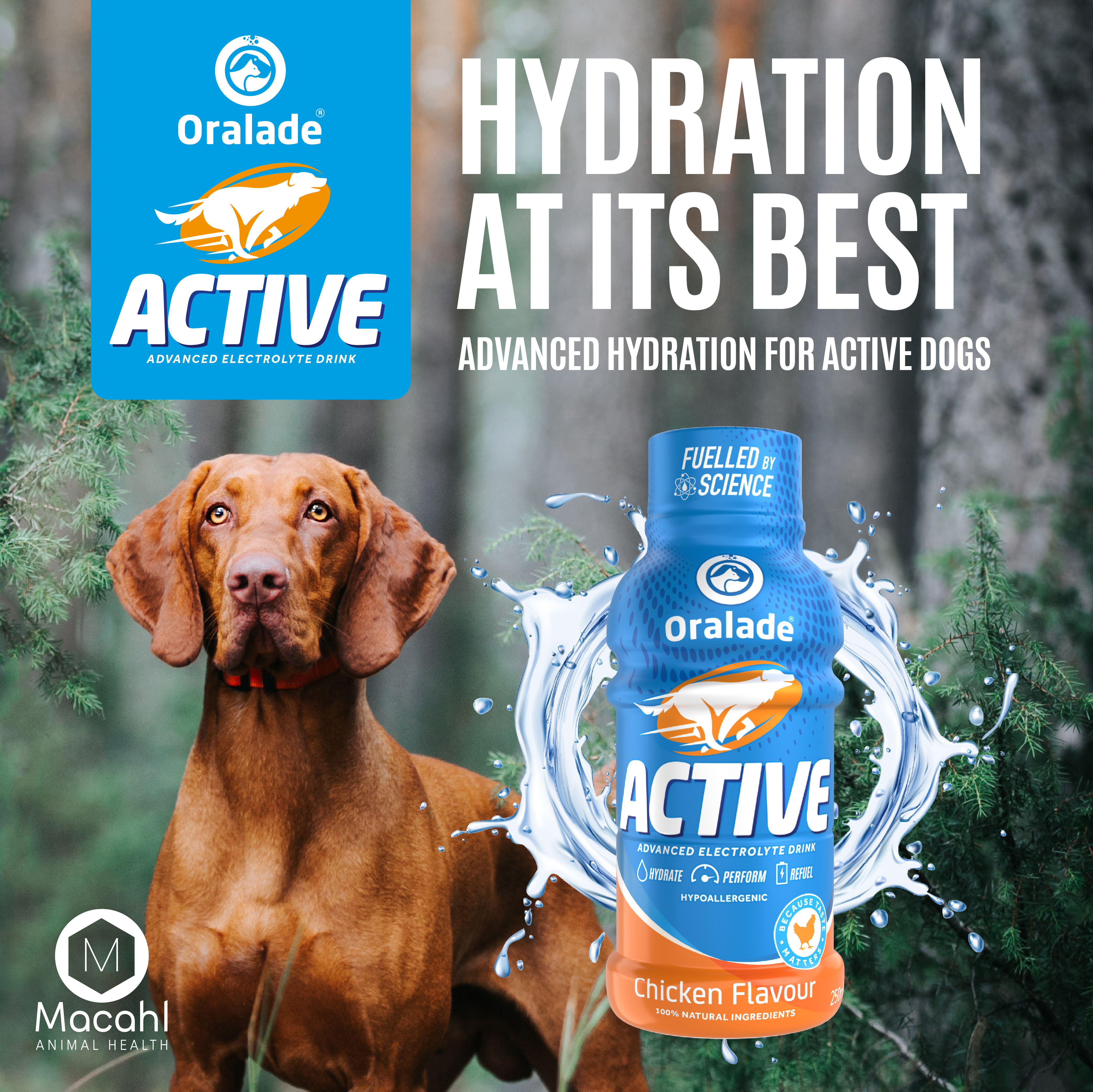 Oralade Active - Advanced Electrolyte Drink