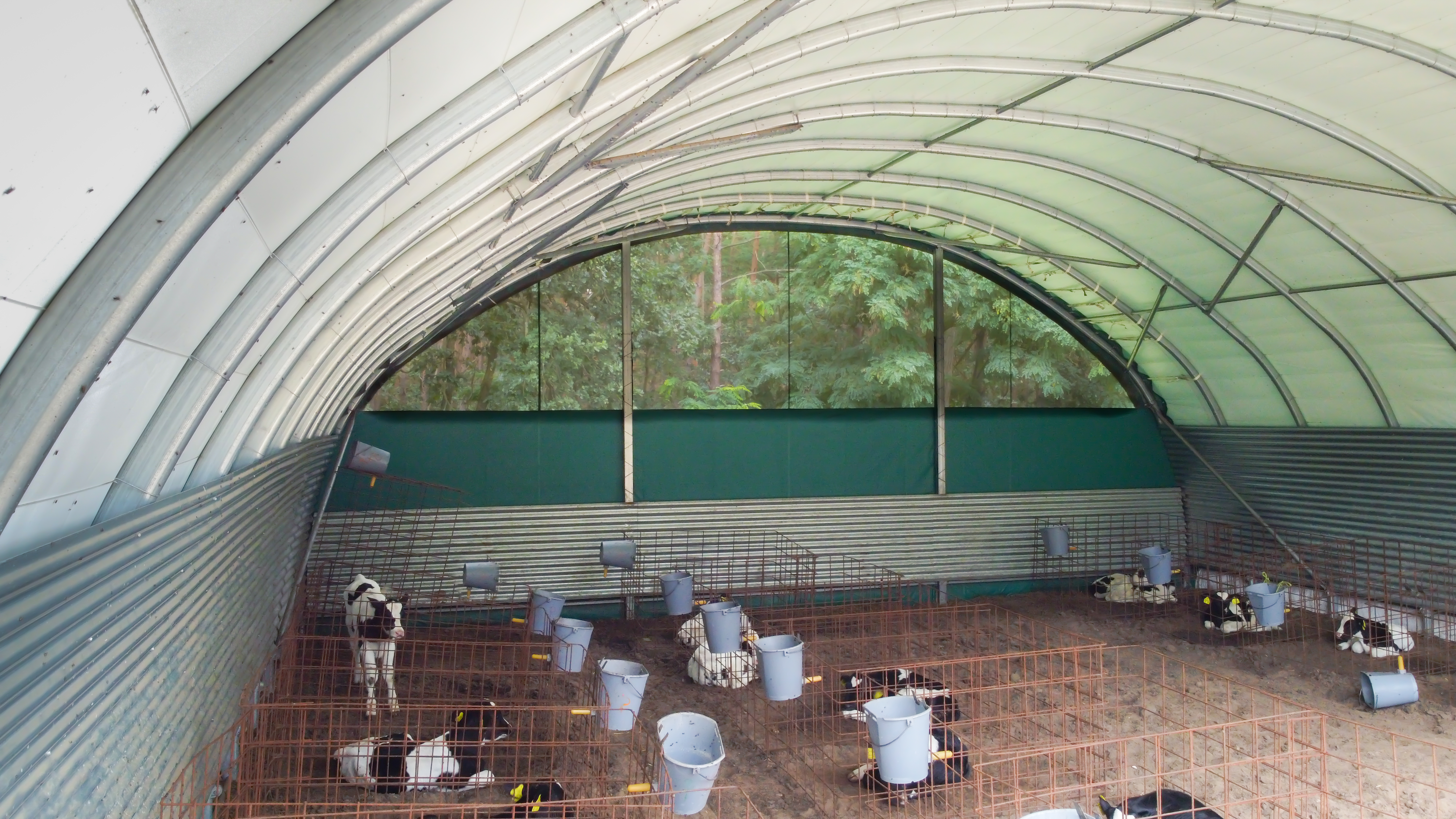 Cattle housing